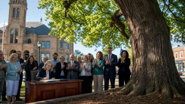 Canadian Town Grants Trees Rights as Living Beings - A Historic Change