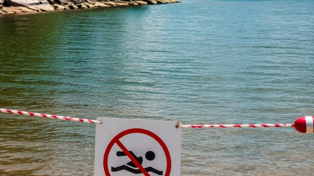Temporary Closure of Swim Beaches at Bull Shoals Lake Due to Safety Concerns