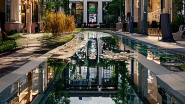 Reflecting Pool Controversy Deepens Amid Vandalism and Wildlife Concerns