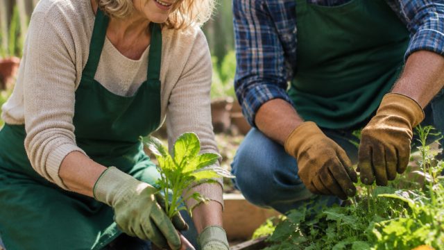 Unlock Gardening Secrets with Orcas Master Gardeners This June