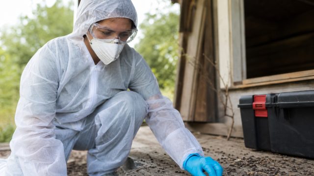 Hantavirus Quarantine Concludes: What You Need to Know Now
